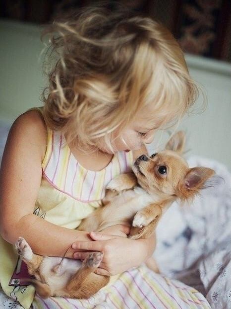 teapotsahoy:thehmn:I’m sorry for talking about dogs so much but I need to rant