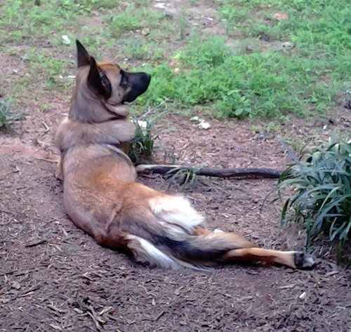ralfmaximus:Draw me like one of your French girls.
