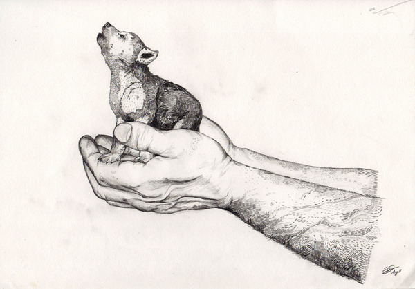 lohrien:  Illustrations by Sandra Dieckmann  society6 l tumblr l website 