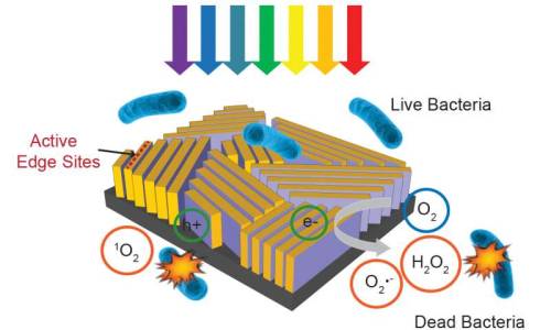  Tiny device grabs more solar energy to disinfect water fasterIn many parts of the world, the only w