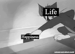 https://69.media.tumblr.com/113ac3d52ebfef7779b479c02f8aa2e0/tumblr_nkg7ughIeV1ses0pjo1_500.gif