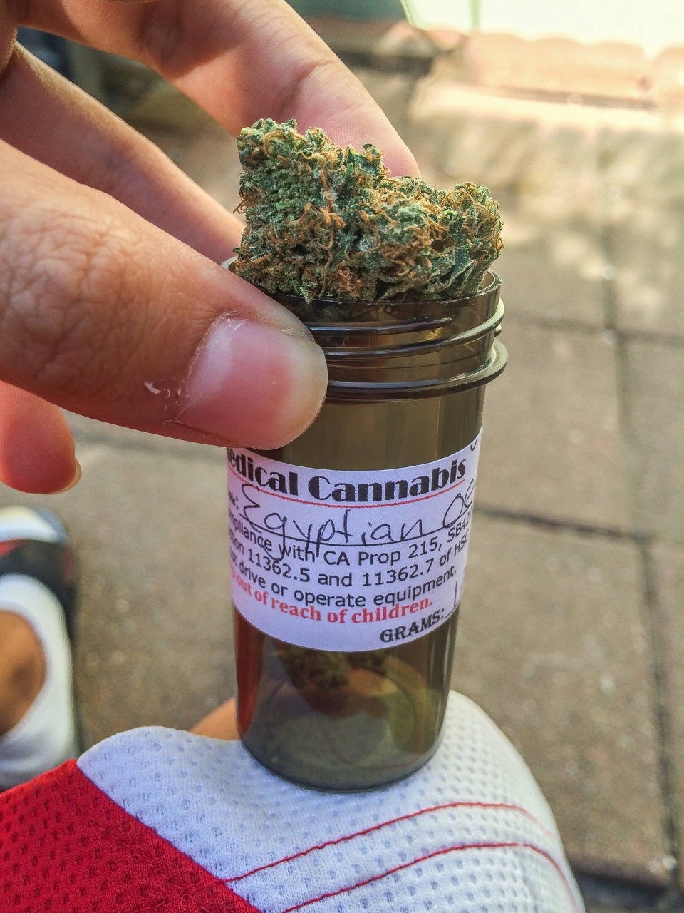 kazekage-kush:  Egyptian OG 