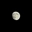 moonlighttts-world