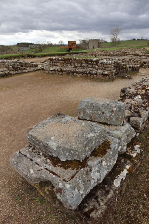 thesilicontribesman: The Headquarters Building, Vindolanda Roman Fort, Northumberland, 29.4.18. The 