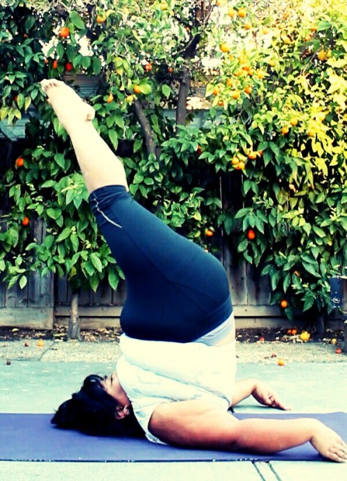 big-gal-yoga:  Lovelyogis Challenge by SunandStrength and Assquat Day 9 Unsupported Shoulderstand 