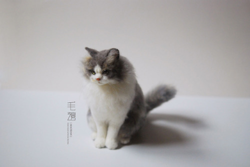 ▋ Persian cat ( custom-made ) Sculpture approximately 10 x 16 x 17 cm ( not including the tail )