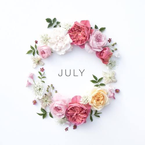sarahs-delights:July 