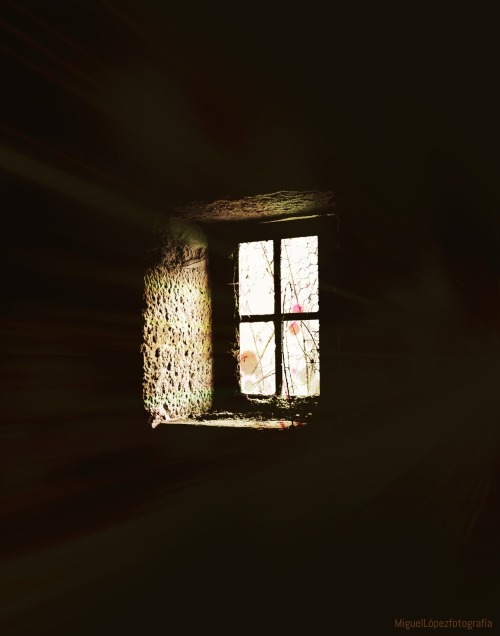 The window was still there. The hope of forgetting, forgotten.A fiestra seguía estando. A esperanza 