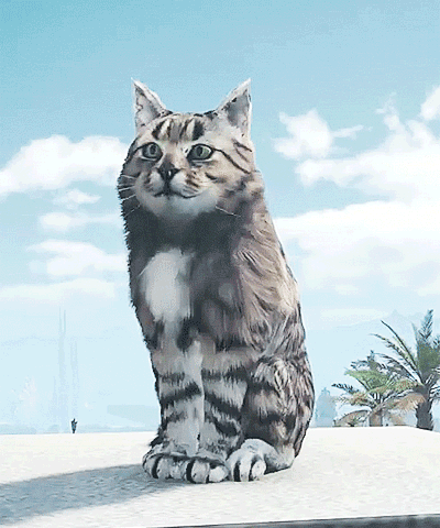 his-shining-tears:A cat in FFXV