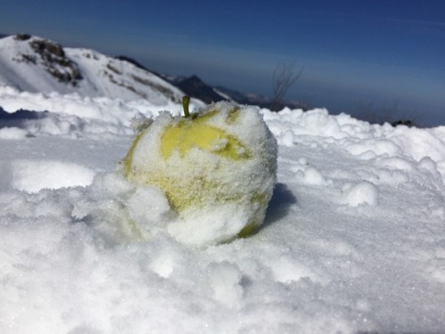 If you dont have water for washing your apple , snow is a good choice! ❄️