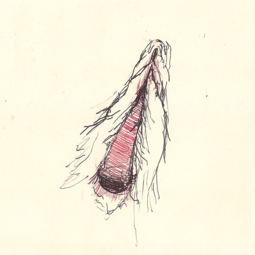 metakinky: Studies of the female genitalia.Black and red pen on paper. 