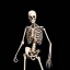ceo-of-calcium