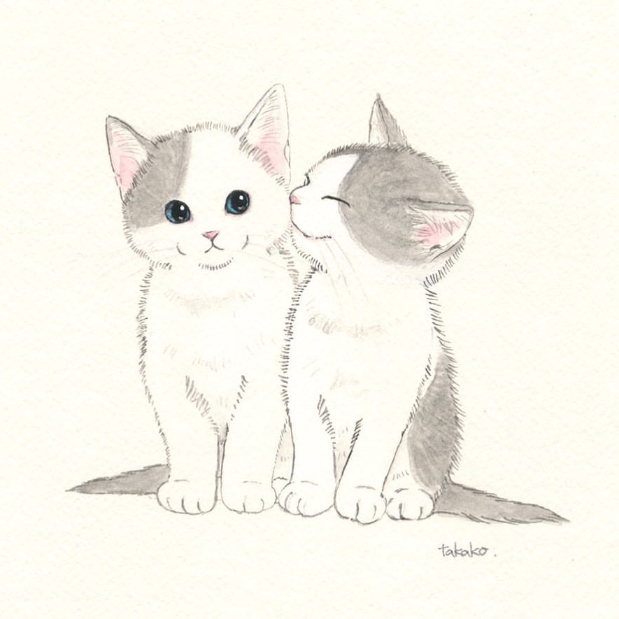 Takako Ide Illustration なかよしきょうだい 本日の猫 猫イラスト 水彩画 ハチワレ Cat