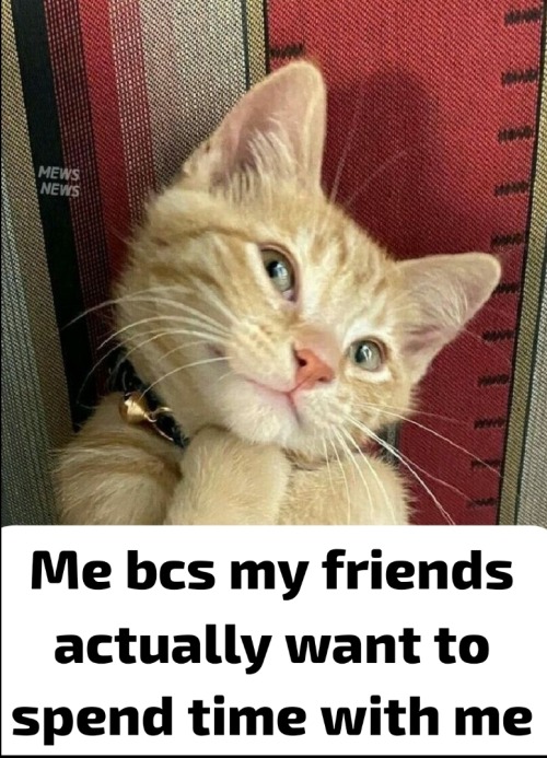 I LOVE MY FRIENDS SO MUCH THEY MEAN THE WORLD TO ME