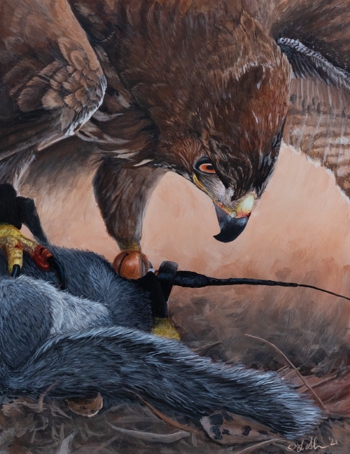 Patreon | Twitter | Instagram “Under the Mantle” is a falconry painting inspired by one 