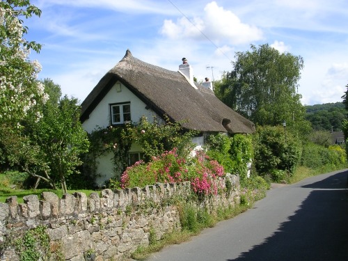 pagewoman:Cottage in Dartmouth, Devon, Englandby Micaela Morris