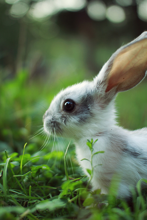 followthewestwind:  (via 500px / What’s there? by Alexandra Truhacheva) 