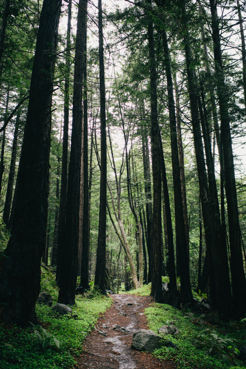 morgan-phillips:Another day, another trail-Morgan Phillips Photography