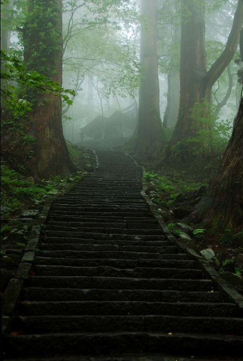 Misty path to Dewa Sanzan temples, Japan (by Ah Bee Panda).