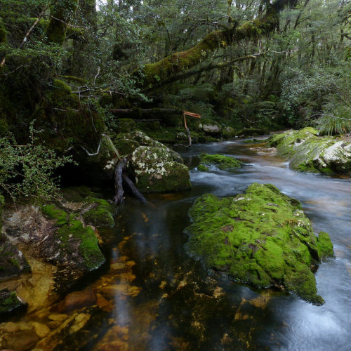 Inangahua River, Victoria Forest Park by New Zealand Wild on Flickr.