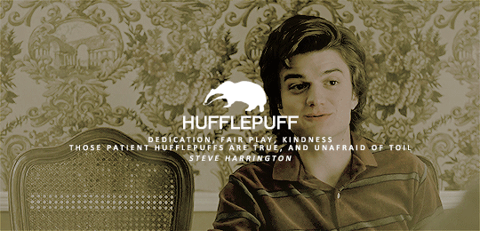 aurelian-s: stranger things teens   hp houses