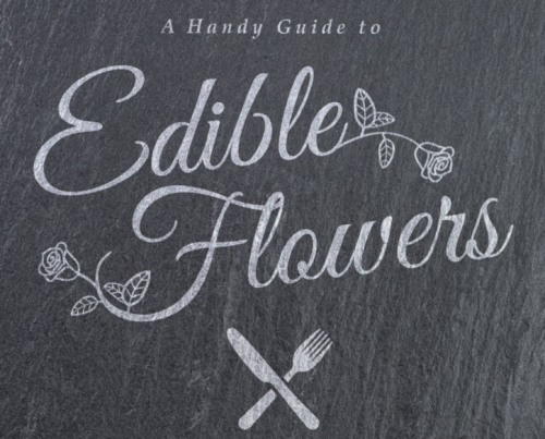 createbakecelebrate: How To Use Edible FlowersSource: Flower Card Sprinkles And Crafts: A Food, DIY 