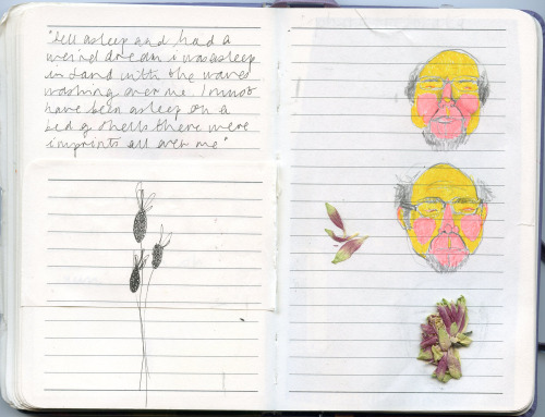 nasturtiums:  some journal pages from may/june 