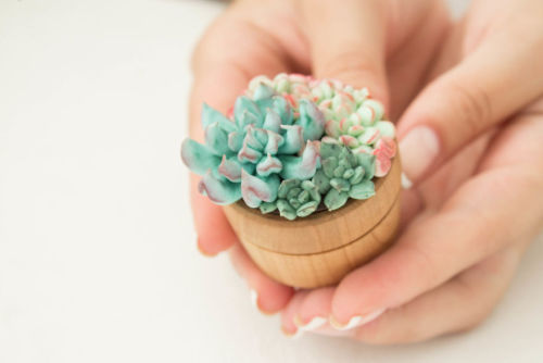 starshine813: toonskribblez: wordsnquotes: Stunning Ring Boxes Look Like Real Life Lush Succulent Pl