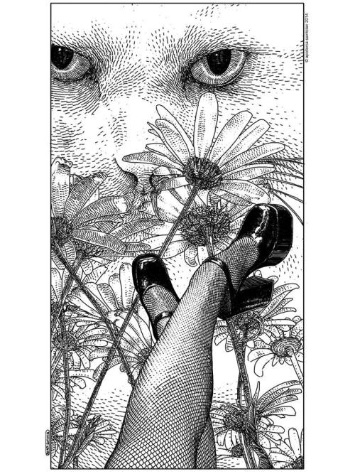 En honor a apolloniasaintclair