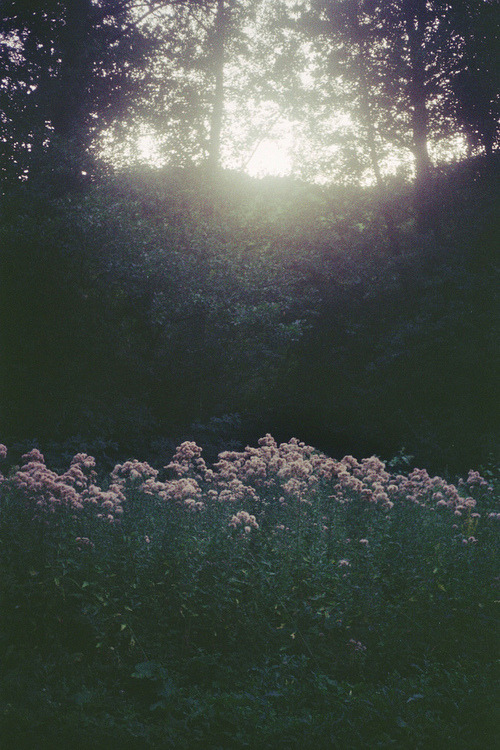 laadyyblue.tumblr.com/post/68890240547/