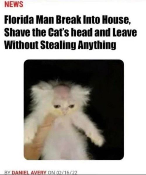 Random Memes