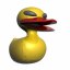 quackquackrubberducky
