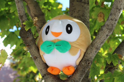 Rowlet up in trees