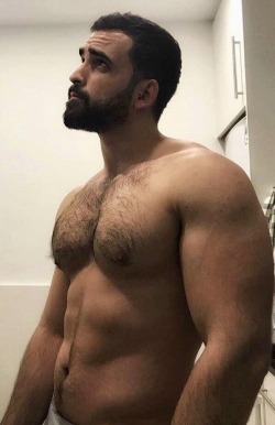 GAY BEAR FOR CHASERS