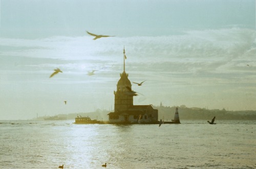 divaneee:Analog Istanbul by Nisa Nur Kaydu