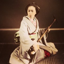 kortagiu:  #Geisha #Shamisen 