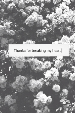 sicklysatisfied:  thanks. on We Heart Ithttp://weheartit.com/entry/121989474/via/marinenhlzl