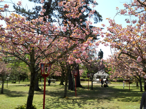 20150426　日曜日北潟湖畔公園のあと吉崎御坊まで。4月23日から5月2日までが「蓮如忌」ということで、多くの観光客で賑わっていた。Gobou市という市（いち）で福井や石川のお店が出店していて、ま