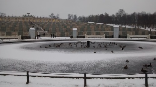 Potsdam im Winter Januar 2017