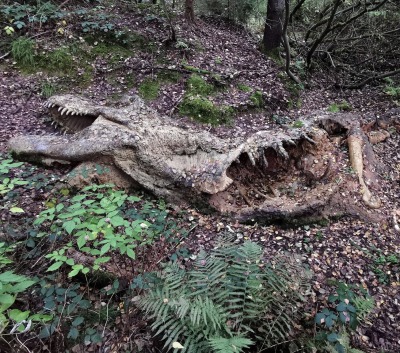 lionfloss:Model of a decomposing Tyrannosaurus adult photos