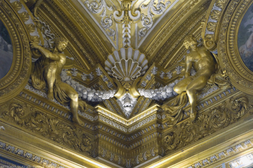 artschoolglasses:  Ceilings in the Pitti Palace.