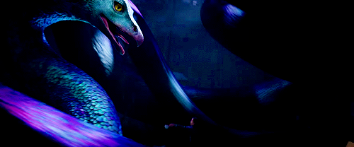 outtagum: Meet the creatures from ‘Fantastic Beasts and Where To Find Them’  Niffler -   mischievous, yet adorable creatures that   look like a cross between a mole and a duck-billed platypus  and like to steal shiny things. The animals have a magical