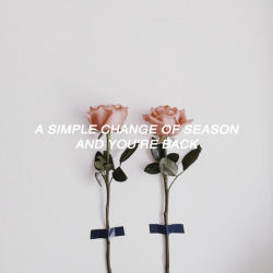 Meandstherhythm:  Carly Rae Jepsen // Roses