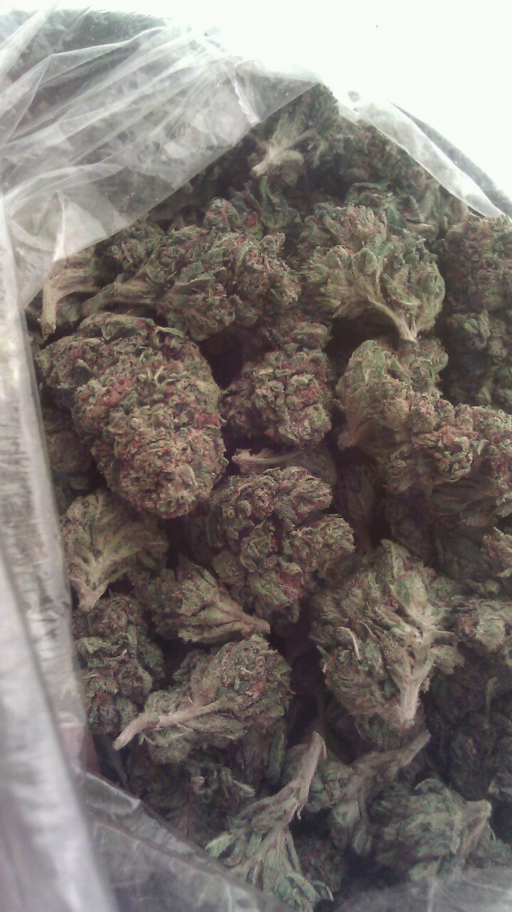 WeedPornDaily Tumblr
