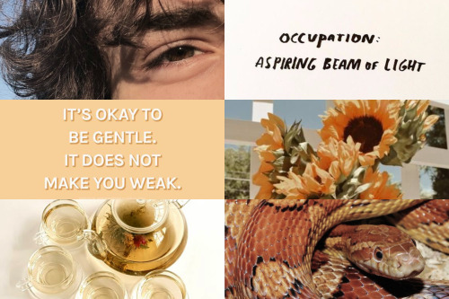 dance-with-the-diaval:Life Of The Party Aesthetic: Elyse + Renard + Astra + Cassian + Boblem + Sarie