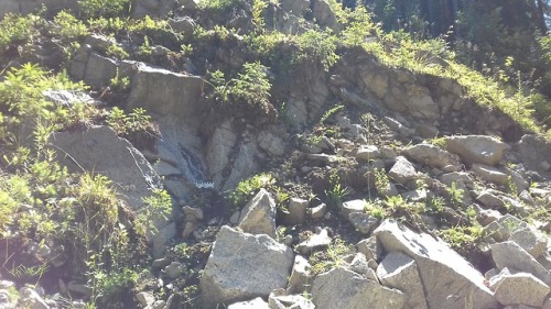 geologyedinburgh:White-Nepheline Syenite quarry in Harghita, Romania. It was abandoned in the 90s.