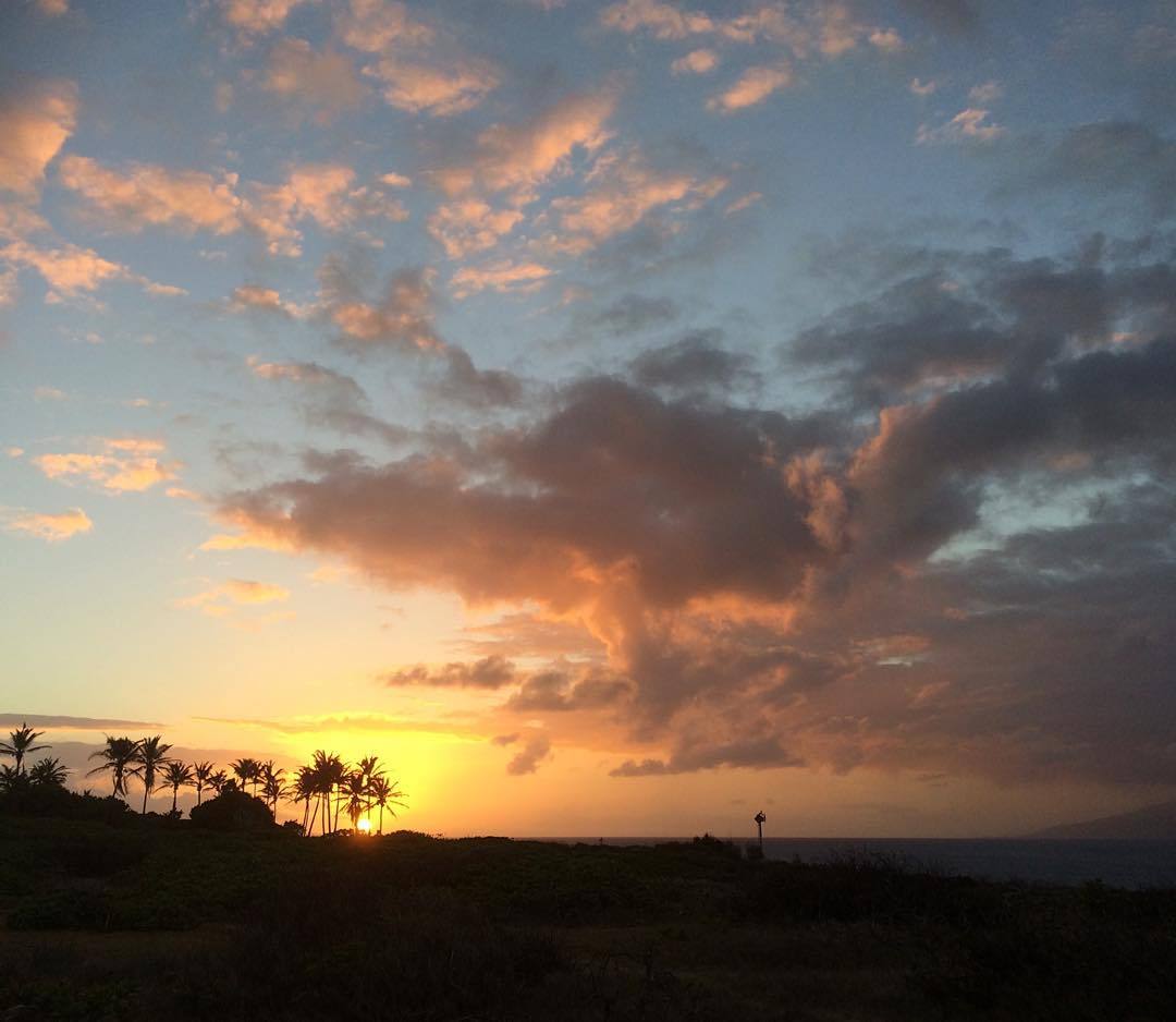 &ldquo;I just witnessed the most subpar natural phenomenon. I had high hopes.
