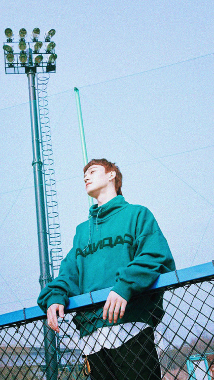 kim jongdae lockscreen/wallpaper like/reblog if you save/use, thank you❀