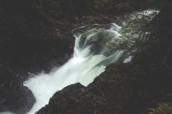 deeplovephotography:  Little Qualicum Falls IIIportfolio | flickr | facebook | society6  