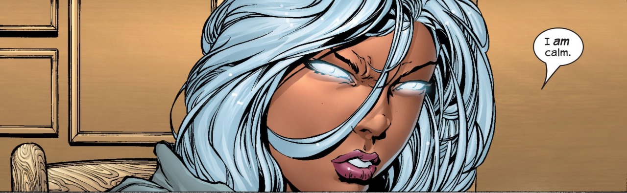 solidsmax:  Ultimate Storm by David Finch 